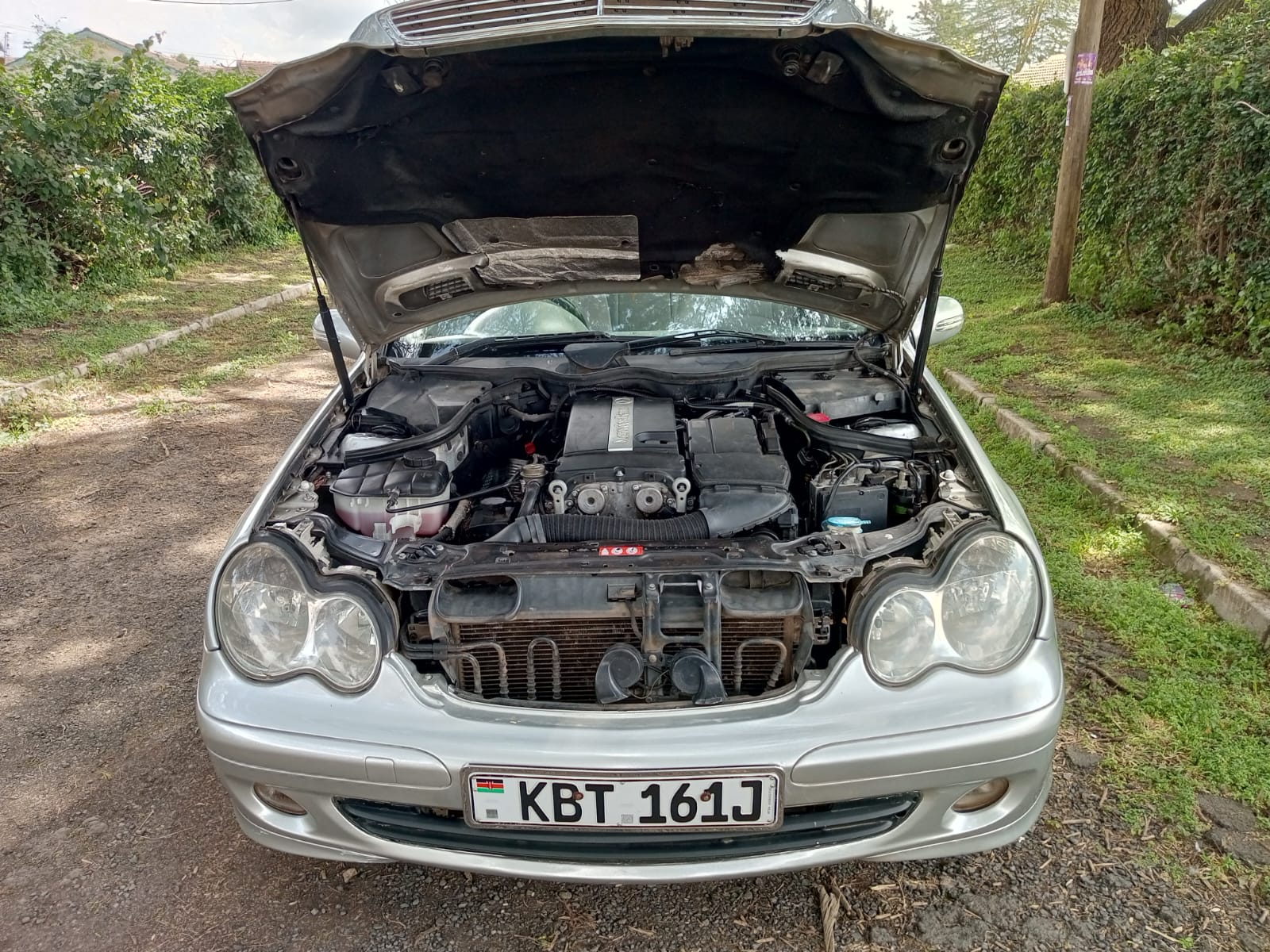 Mercedes Benz - Side View